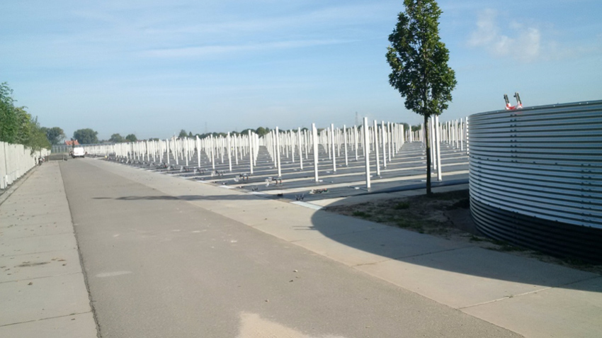 container-grown-tree-nursery