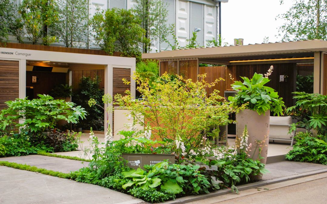 Greenwood Plants supports client Garden House Design with award-winning Chelsea Flower Show Stand