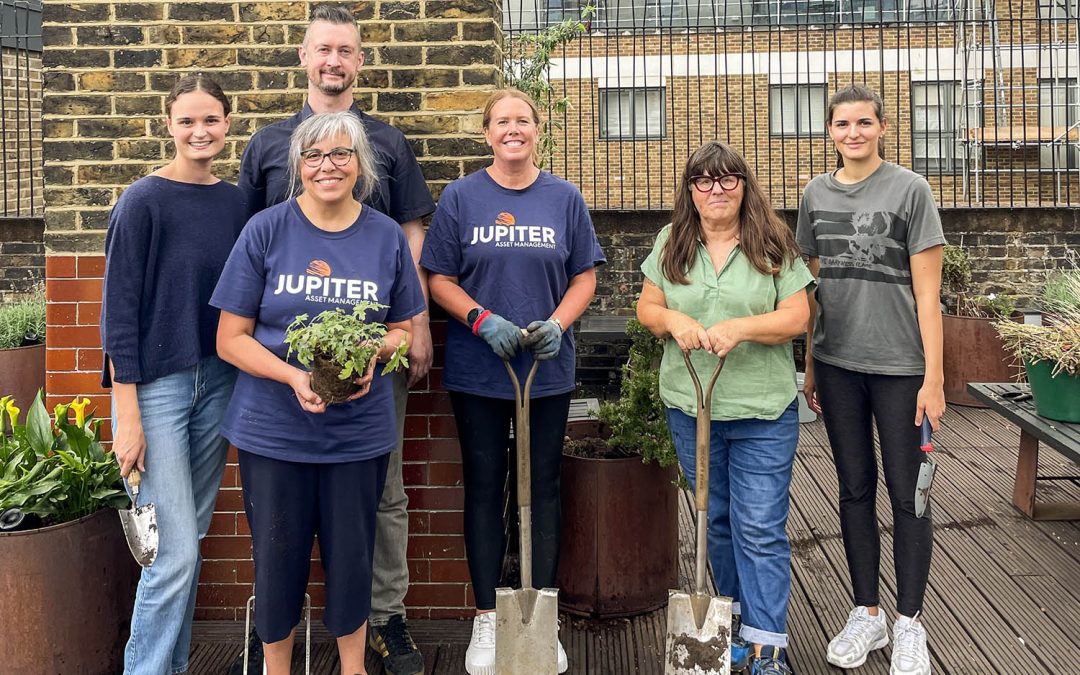 Greenwood Plants and The Tree Council Help Transform Roof Garden at The Passage