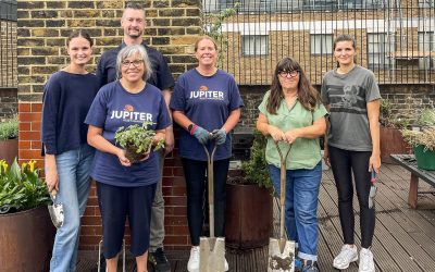 Greenwood Plants and The Tree Council Help Transform Roof Garden at The Passage