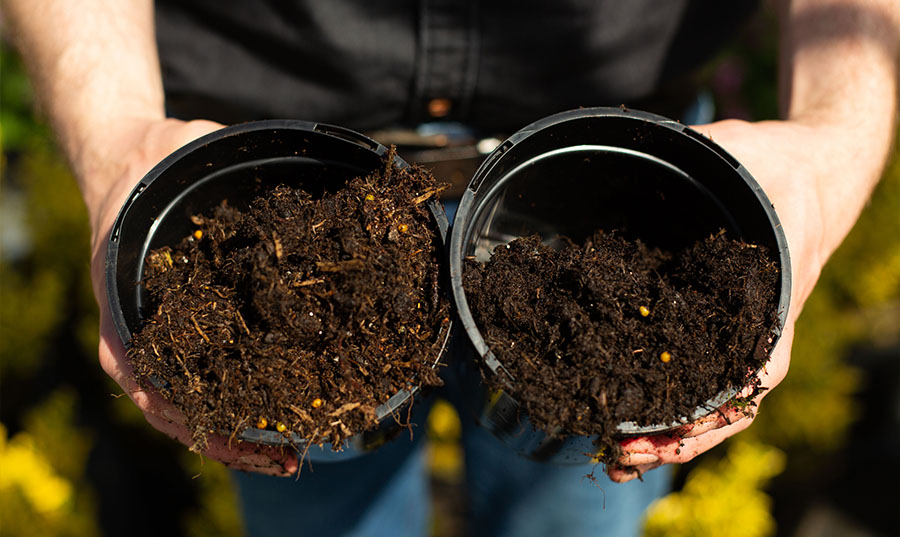 peat-free compost comparison