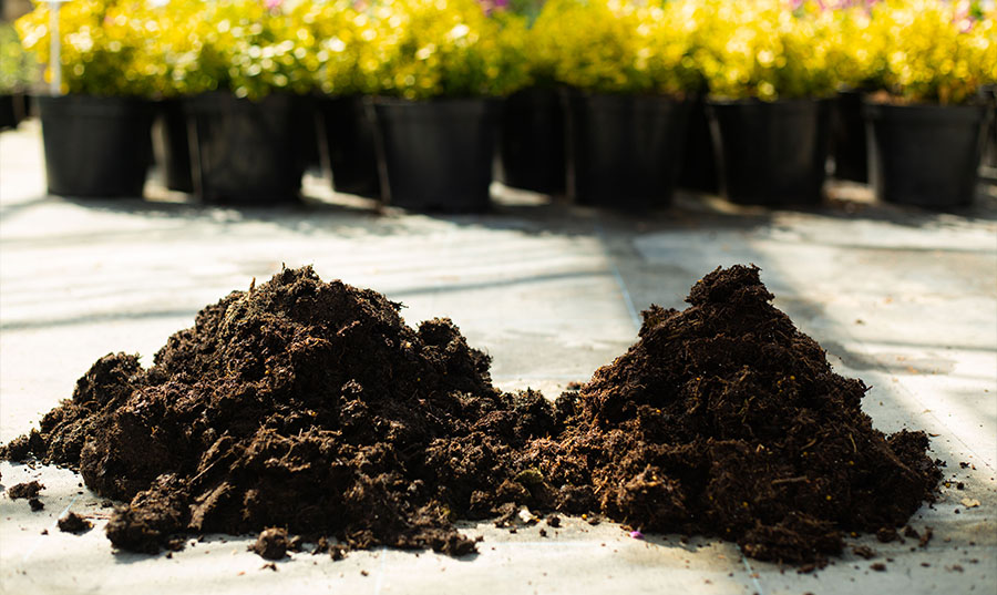 peat-free compost