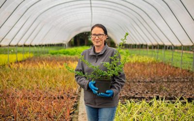 Greenwood Plants growing 100% peat-free ahead of target